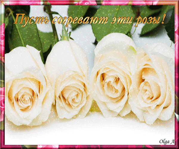 Анимированная открытка Пусть согревают эти розы