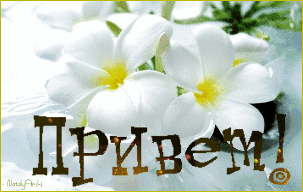 Анимированная открытка Привет! белые цветы