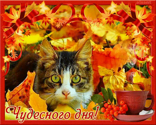 Анимированная открытка Чудесного дня кот в осенних листьях