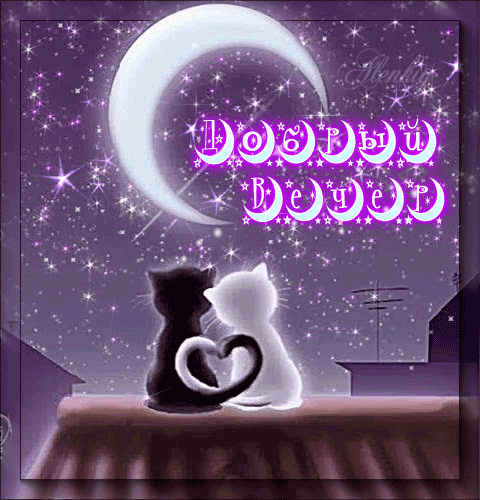 Анимированная открытка Добрый Вечер доброй ночи тебе скучаю