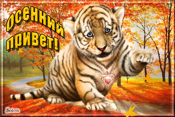 Анимированная открытка Осенний привет тигр