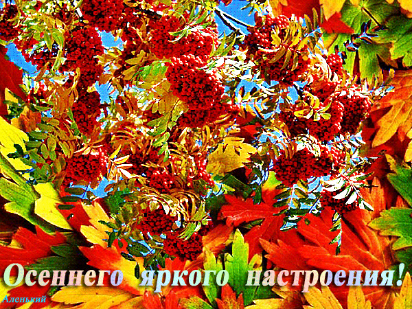 Анимированная открытка Осеннего яркого настроения!