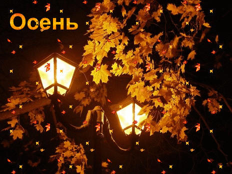 Анимированная открытка Осень осень в парке ночь