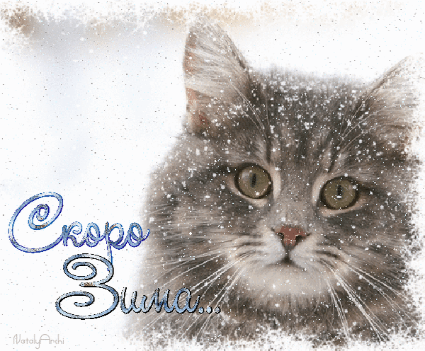 Анимированная открытка Скоро зима... кошки и собаки
