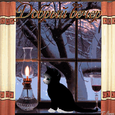 Анимированная открытка Добрый вечер окна зимой