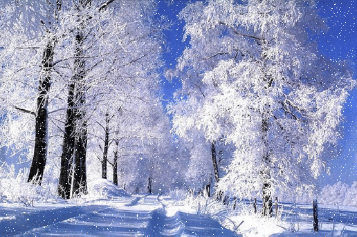 Анимированная открытка Зима снег и лед в природе