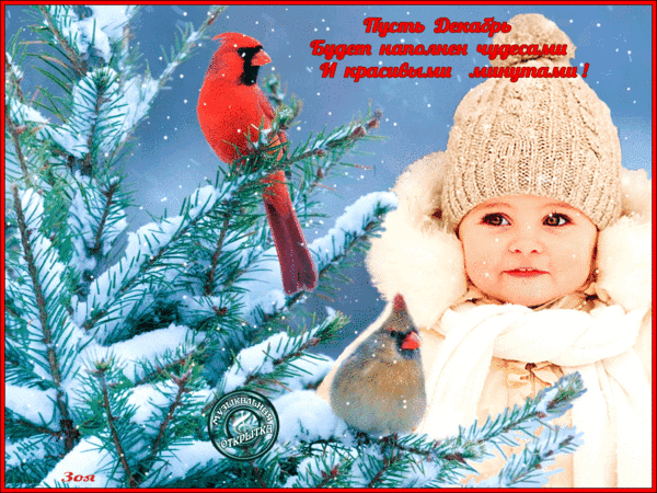 Анимированная открытка Пусть декабрь будет наполнен чудесными и красивыми минутами!
