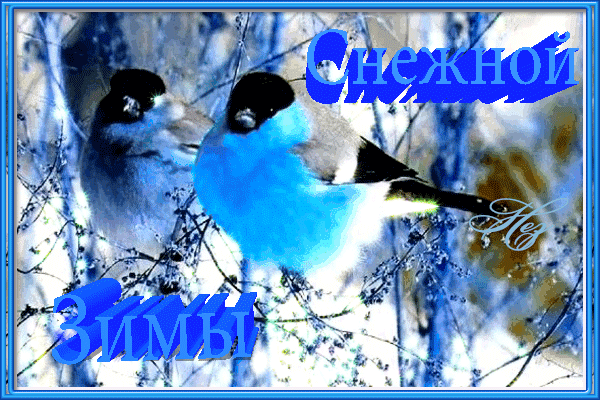 Анимированная открытка Снежной зимы снегирь самка и самец