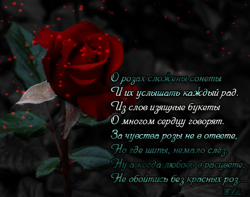 Анимированная открытка О розах сложены сонеты И их услышать каждый рад. Из слов