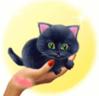 Анимированная открытка Тебе на удачу! кошка