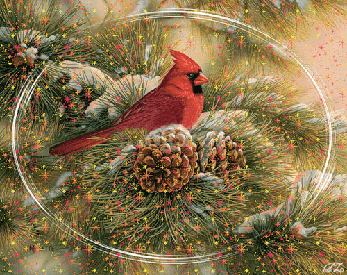 Анимированная открытка Птица на шишках