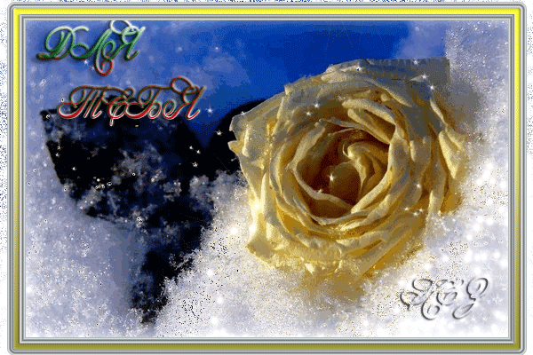 Анимированная открытка ДЛЯ ТЕБЯ желтая роза в снегу