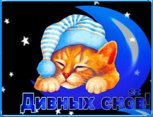 Анимированная открытка Дивных снов! прохладный смешные футболки футболка я не делаю по утрам кошка Домашние животные