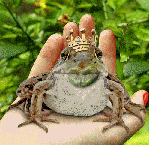 Анимированная открытка Царевна-лягушка