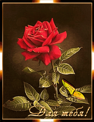Анимированная открытка Для тебя! Красные розы картина маслом