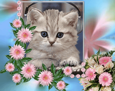 Анимированная открытка Изображение: котёнок в наушниках в обрамлении цветов