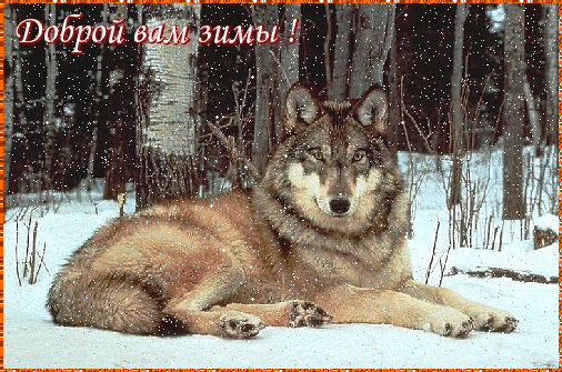 Анимированная открытка Доброй вам зимы!