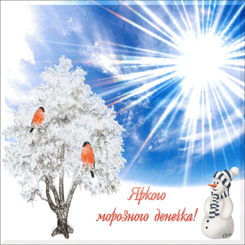 Анимированная открытка Яркого морозного денечка!
