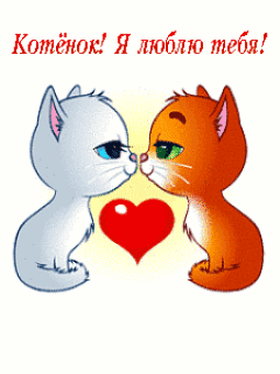 Анимированная открытка Котёнок! Я люблю тебя!