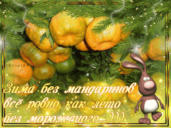 Анимированная открытка Зима без мандаринов всё равно как лето без мороженого...)))