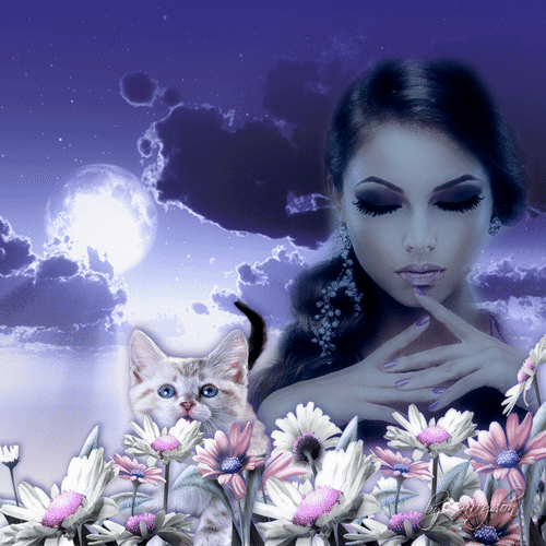 Анимированная открытка Ночь... Лунный свет... Девушка моргает... Кошка смотрит в небо... цветы растут...