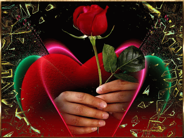 Анимированная открытка Красная роза в женских руках