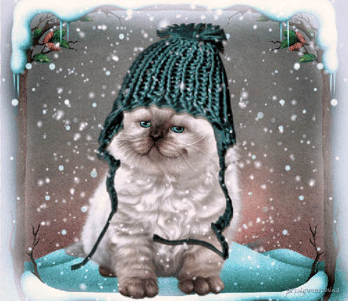 Анимированная открытка Идет снег, сидит кот в вязанной шапке.