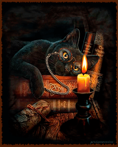 Анимированная открытка Черный кот смотрит на свечу