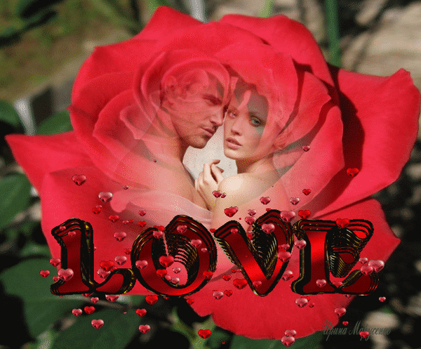 Анимированная открытка LOVE роза