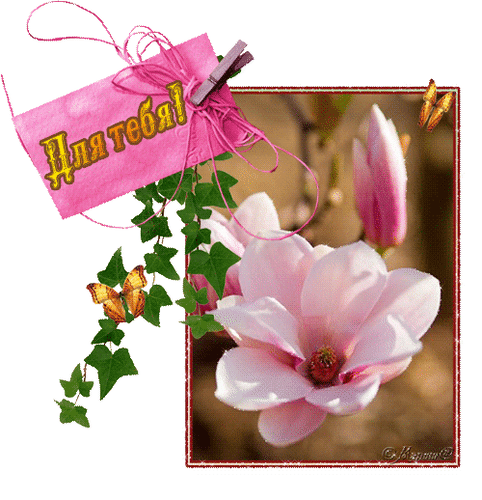 Анимированная открытка Для тебя! розовый цветок