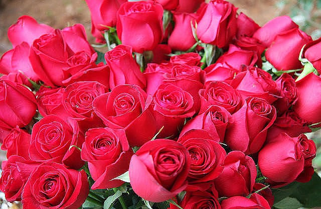 Открытка Букет красных роз
