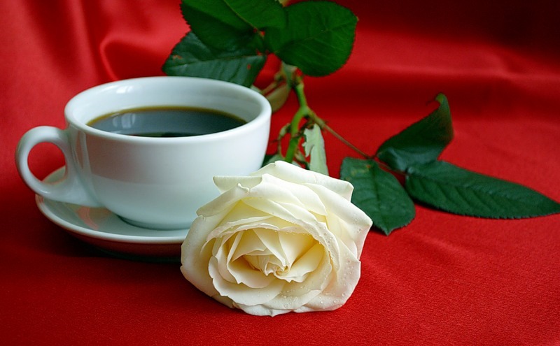 Открытка Чашка кофе и белая роза