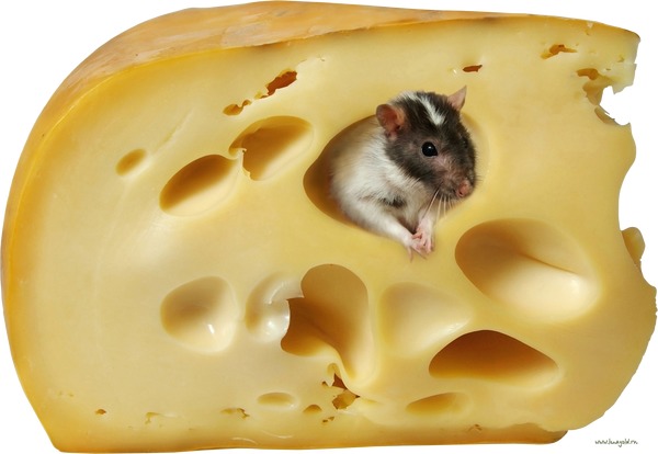 Открытка Сыр с мышью в дырке