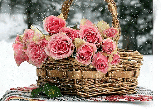 Анимированная открытка Розы в снегу букет в снегу