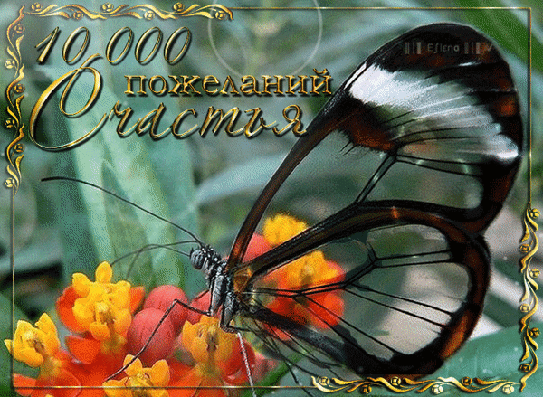 Анимированная открытка 10000 пожеланий Счастья