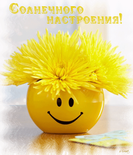Анимированная открытка Солнечного настроения!