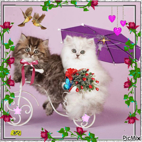 Анимированная открытка Две кошки одна с зонтиком а другая на велосипеде маленьком