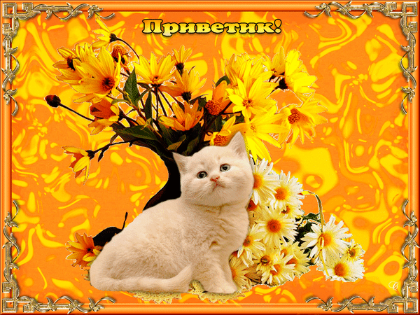 Анимированная открытка Приветик! цветочный katten ы