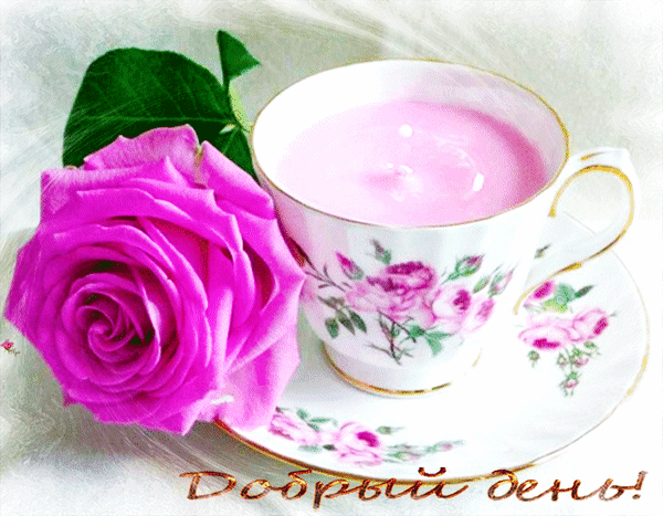 Анимированная открытка Добрый день! Доброе утро розовых роз