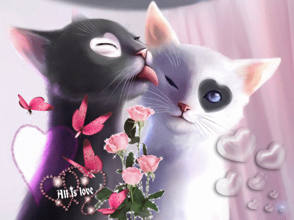 Анимированная открытка All is love кошки обои hd