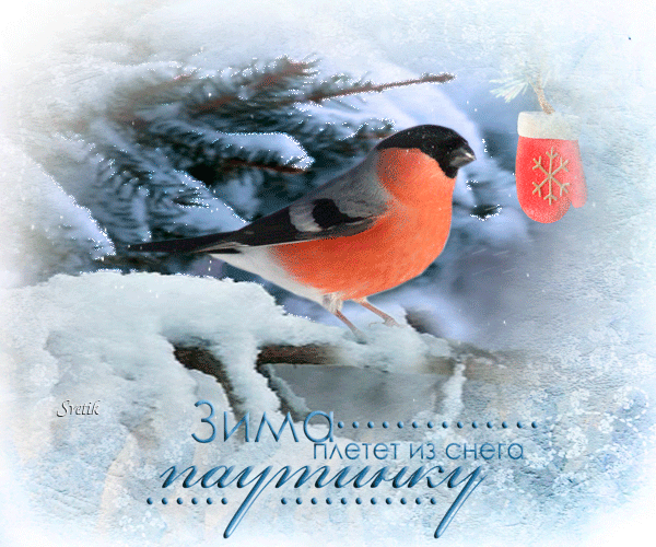 Анимированная открытка ЗИМА............ плетет из снега паутинку