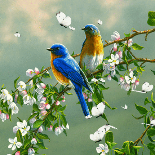 Анимированная открытка Птицы птица на цветущей ветке