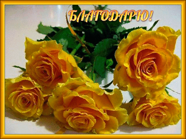 Анимированная открытка Благодарю! желтые розы