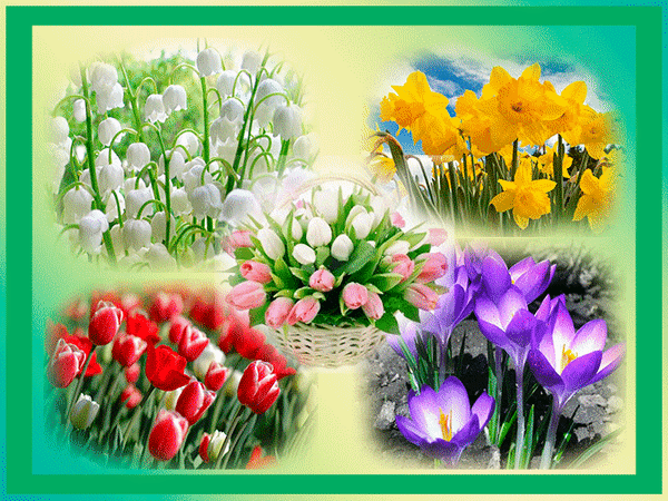 Анимированная открытка Цветы и бабочки