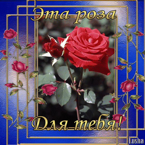 Анимированная открытка Эта роза Для тебя!