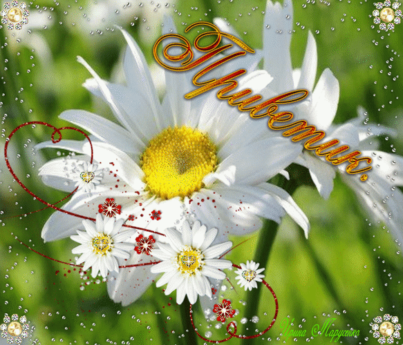 Анимированная открытка Приветик. цветок