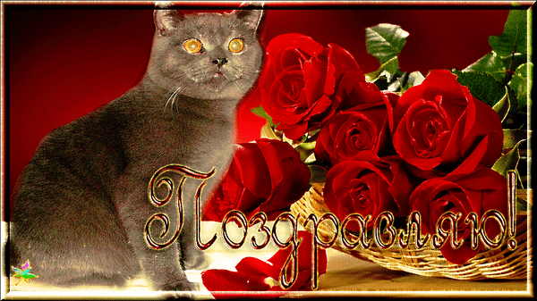 Анимированная открытка Поздравляю! красивый букет из красных роз