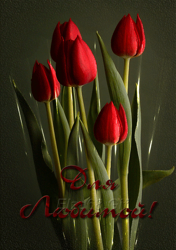 Анимированная открытка Для Любимой! Тюльпан