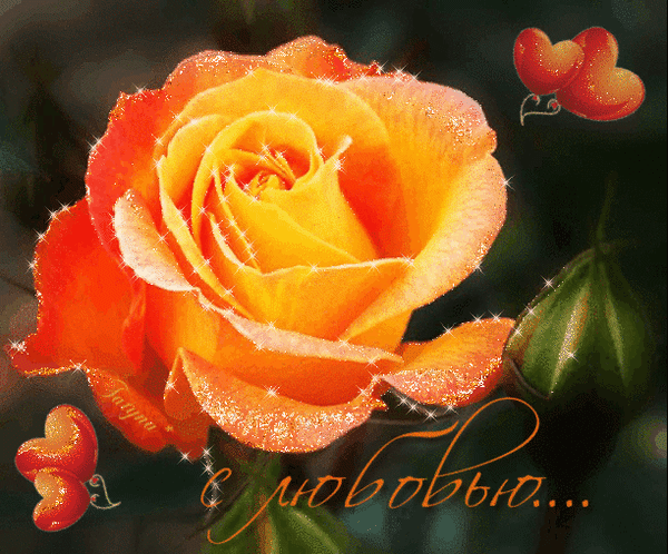 Анимированная открытка С любовью Цветок