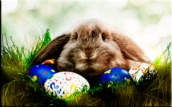 Анимированная открытка Кролик, яйца пасхальные